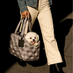 Zallopaws AIR Pet Carrier