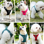 Ultra-Light Breathable Pet Harness