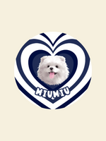 ZalloPaws Custom Pet Rug – Love