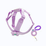 Dopamine Sunflower Pet Harness Set