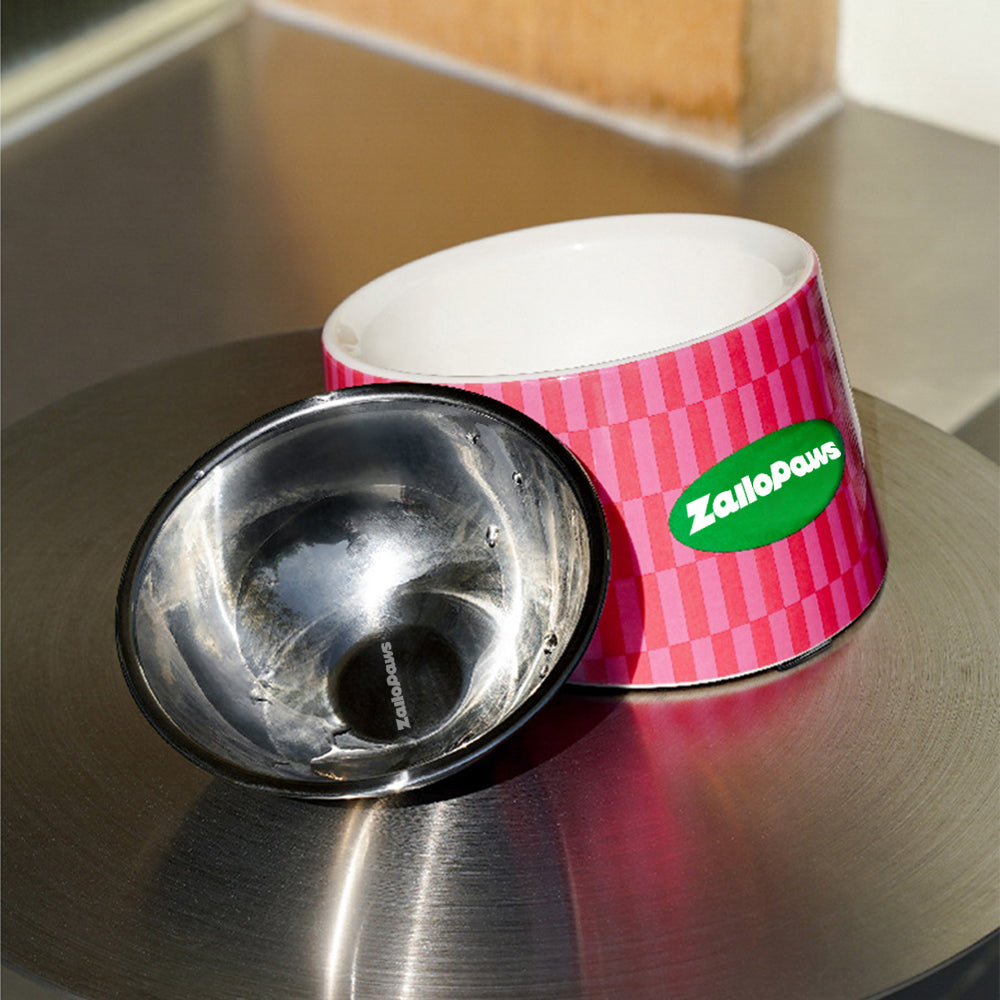 Retro Chic Tilted Stainless Steel Pet Bowl – 15° Angle for Easy Eating