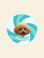 ZalloPaws Custom Pet Rug – Eddies