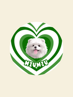 ZalloPaws Custom Pet Rug – Love