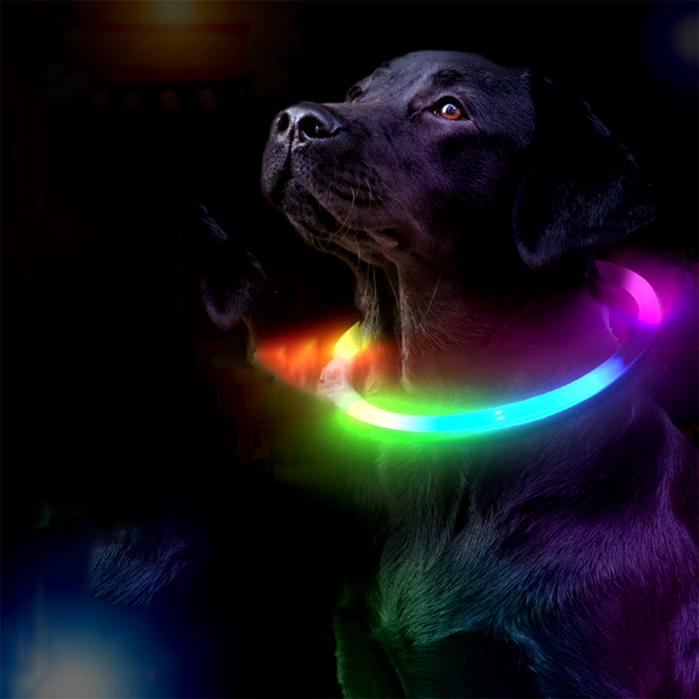 LED Rechargeable Pet Collar