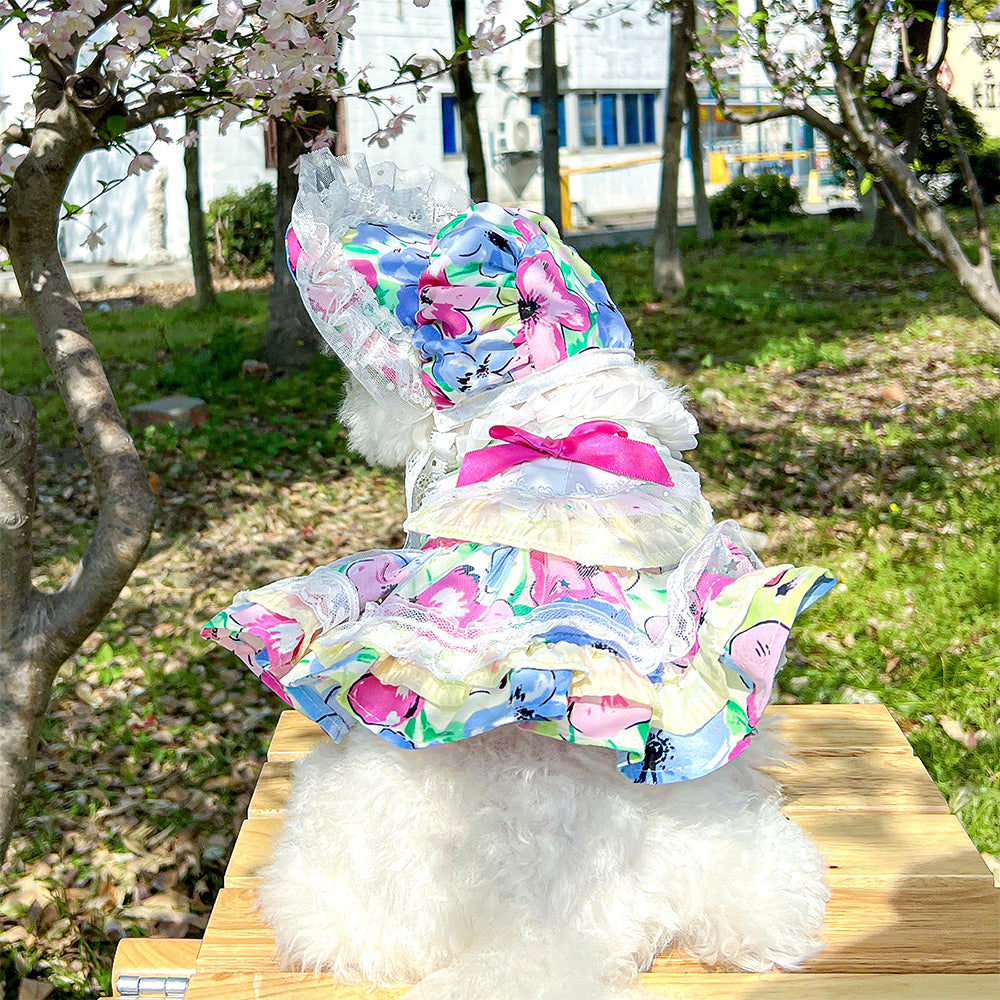 Floral Lace Princess Pet Dress