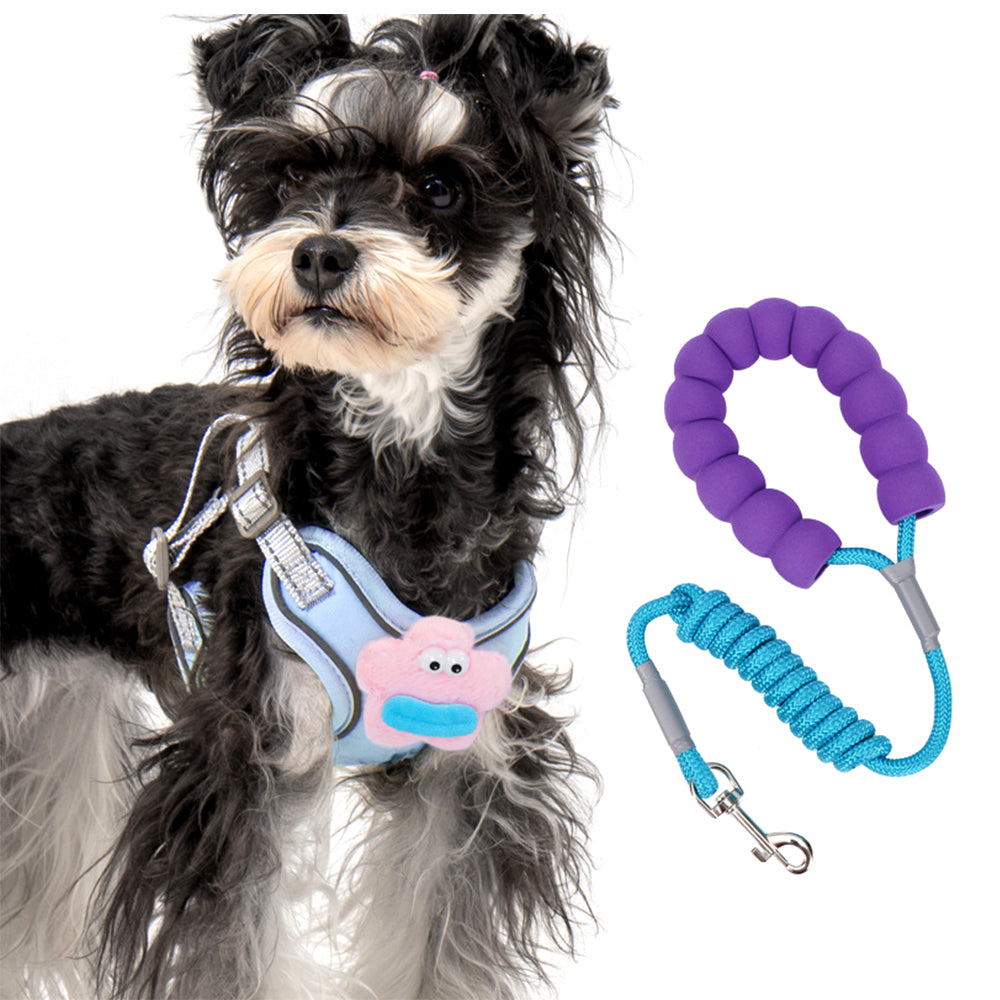 Cartoon Big Mouth Dog Harness Set