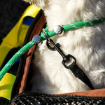 Sports Crossbody Pet Bag