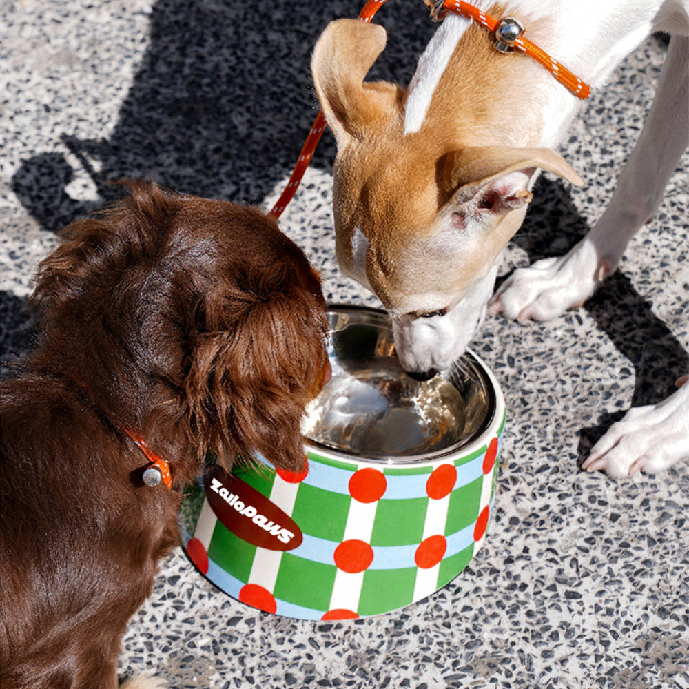 Retro Chic Tilted Stainless Steel Pet Bowl – 15° Angle for Easy Eating