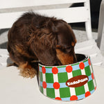 Retro Chic Tilted Stainless Steel Pet Bowl – 15° Angle for Easy Eating