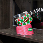 Retro Chic Tilted Stainless Steel Pet Bowl – 15° Angle for Easy Eating