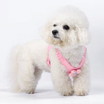Dopamine Sunflower Pet Harness Set