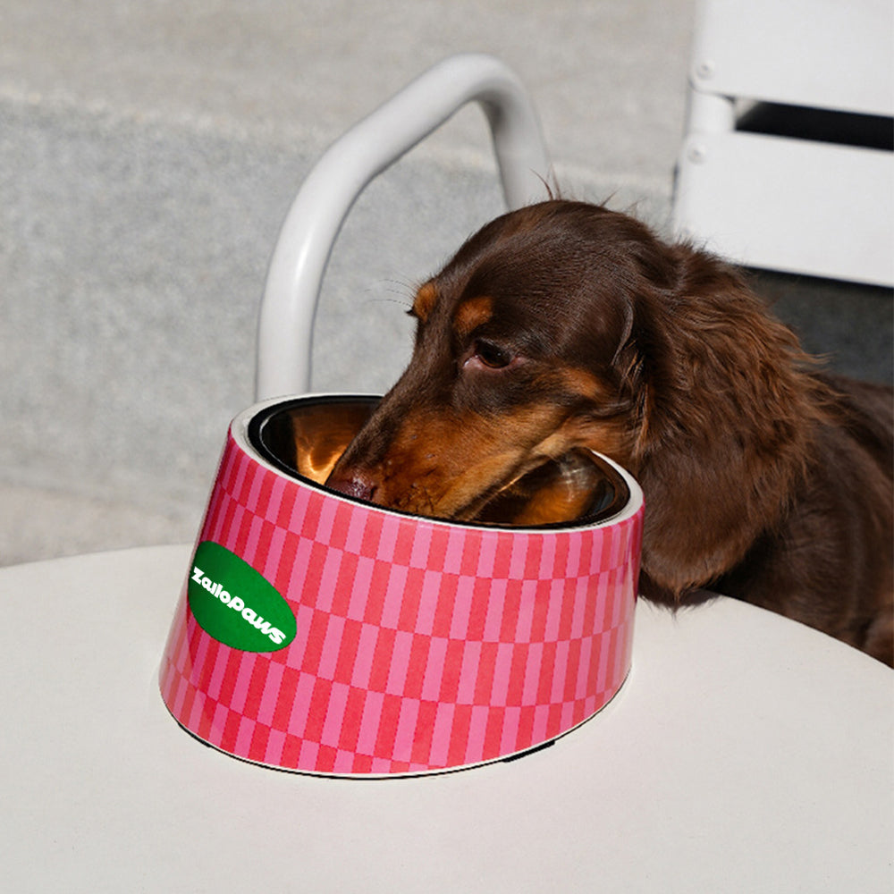 Retro Chic Tilted Stainless Steel Pet Bowl – 15° Angle for Easy Eating