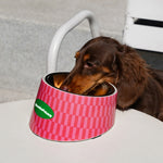 Retro Chic Tilted Stainless Steel Pet Bowl – 15° Angle for Easy Eating