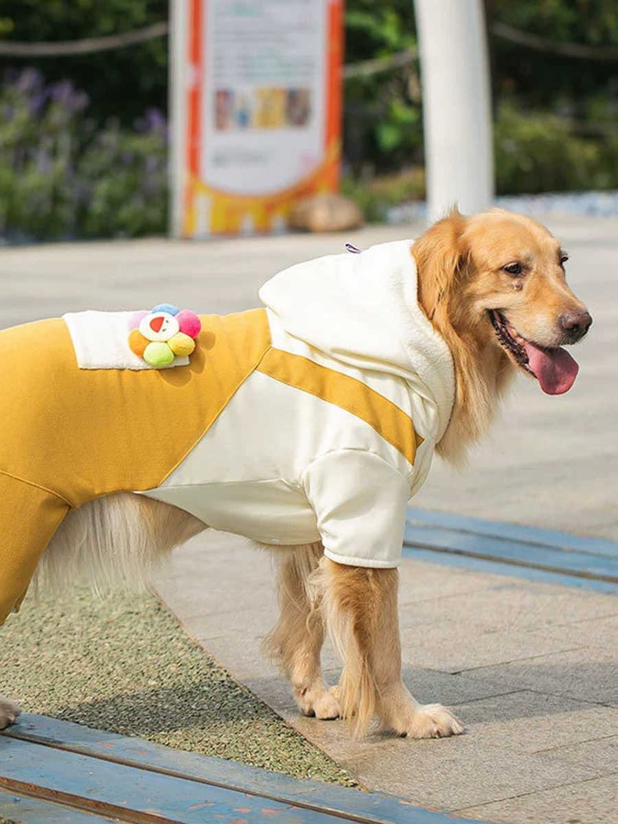Sunflower Large Pet Hoodies