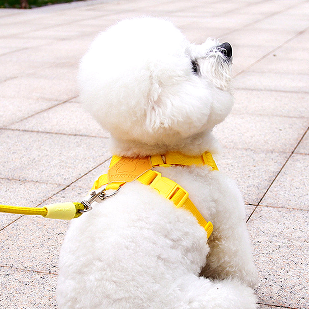 Dopamine Sunflower Pet Harness Set