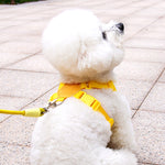 Dopamine Sunflower Pet Harness Set