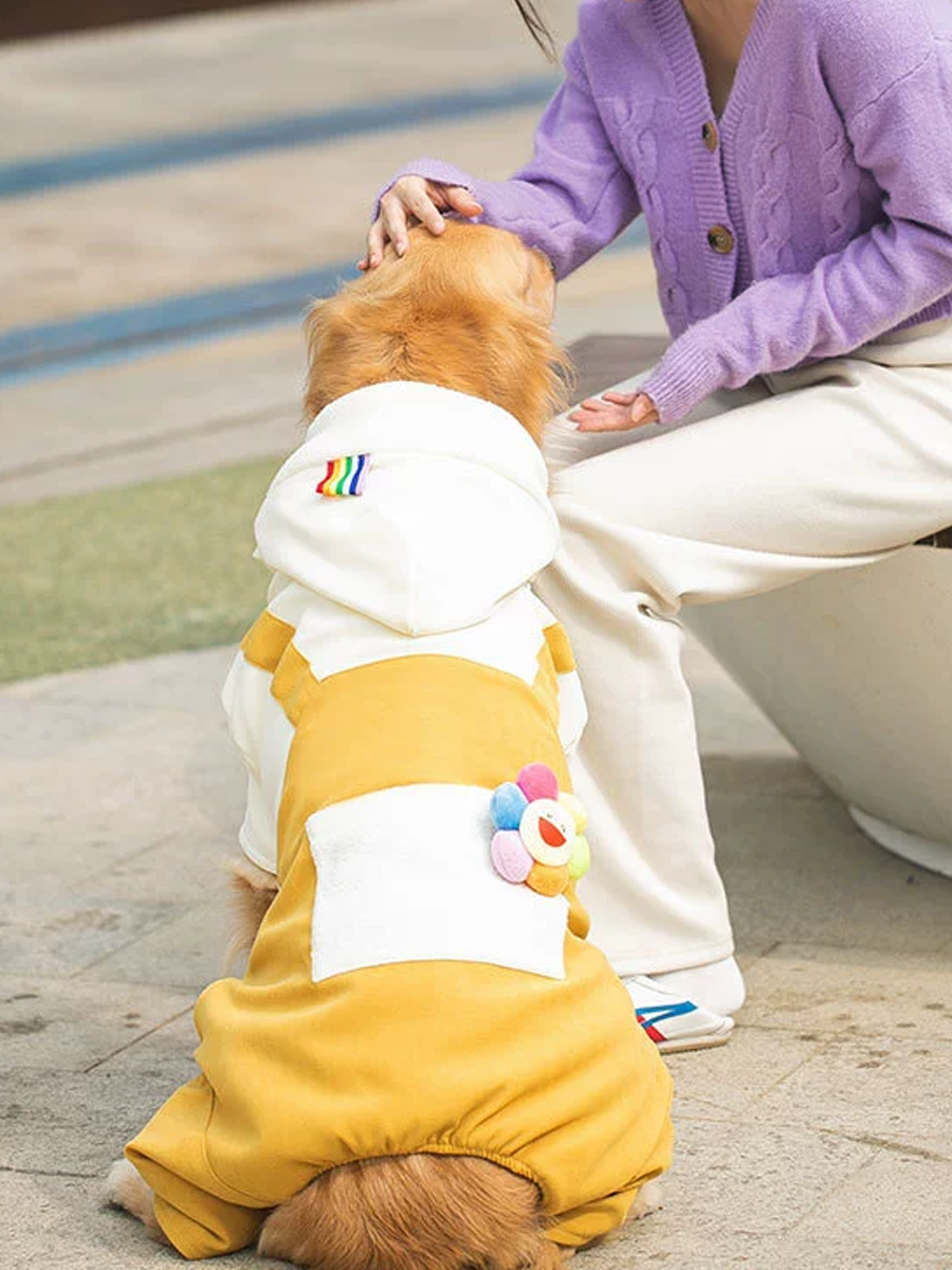 Sunflower Large Pet Hoodies