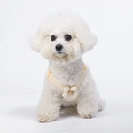 Dopamine Sunflower Pet Harness Set
