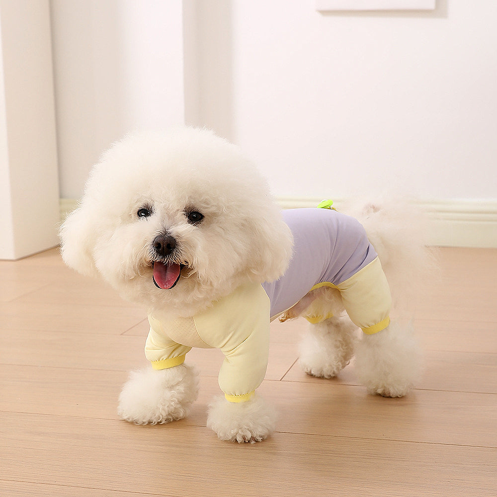 Summer Cooling Dog Suit