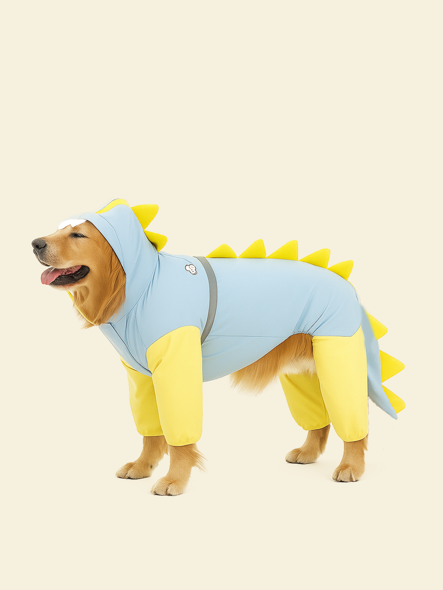 Dinosaur Large Dog Raincoat