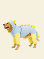 Dinosaur Large Dog Raincoat