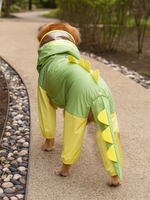 Dinosaur Large Dog Raincoat