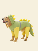 Dinosaur Large Dog Raincoat