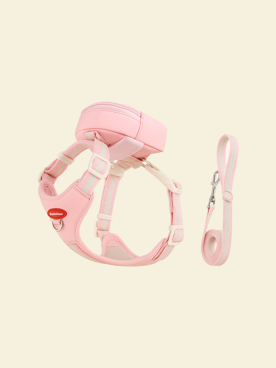 Rainbow Dog Harness Set