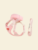 Rainbow Dog Harness Set