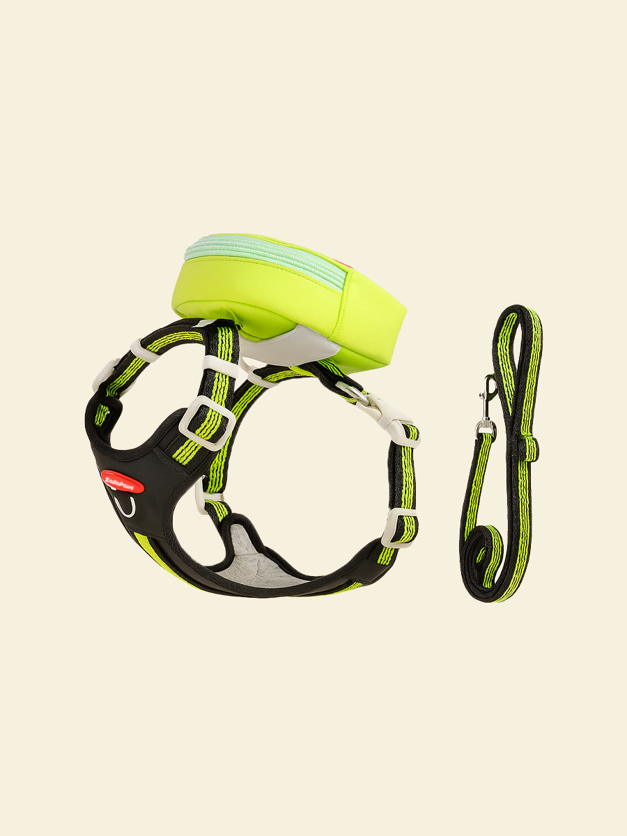 Rainbow Dog Harness Set