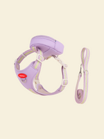 Rainbow Dog Harness Set