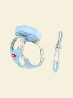 Rainbow Dog Harness Set