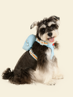 Rainbow Dog Harness Set