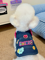 Denim Embroidered Dog Harness Set