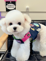 Denim Embroidered Dog Harness Set
