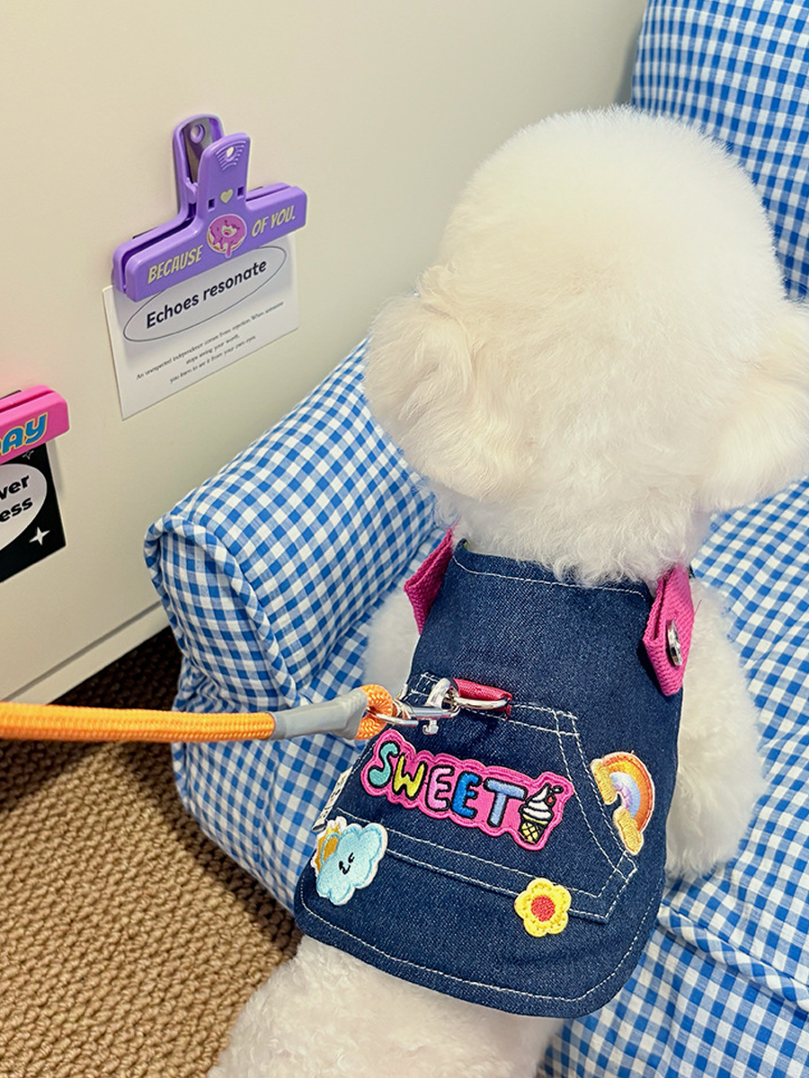 Denim Embroidered Dog Harness Set