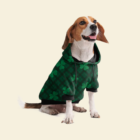 Dog Clothes