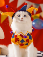 Clown Costume Pet Sweater