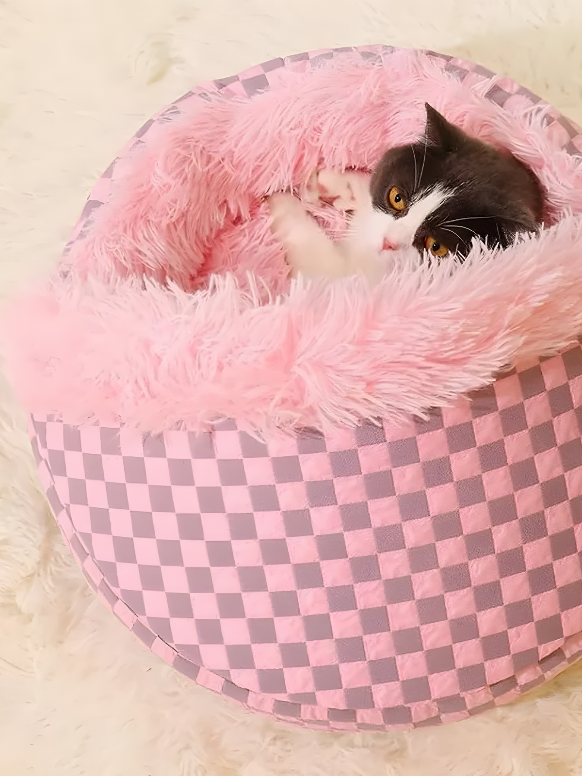 Cozy Cat Bed For Winter - Petal