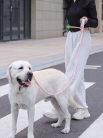 Dopamine Pet Leash