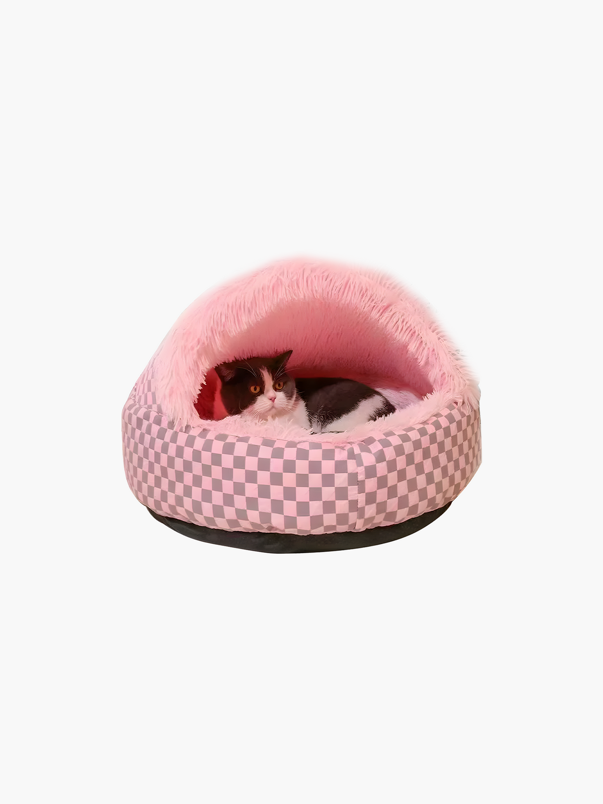 Cozy Cat Bed For Winter - Petal