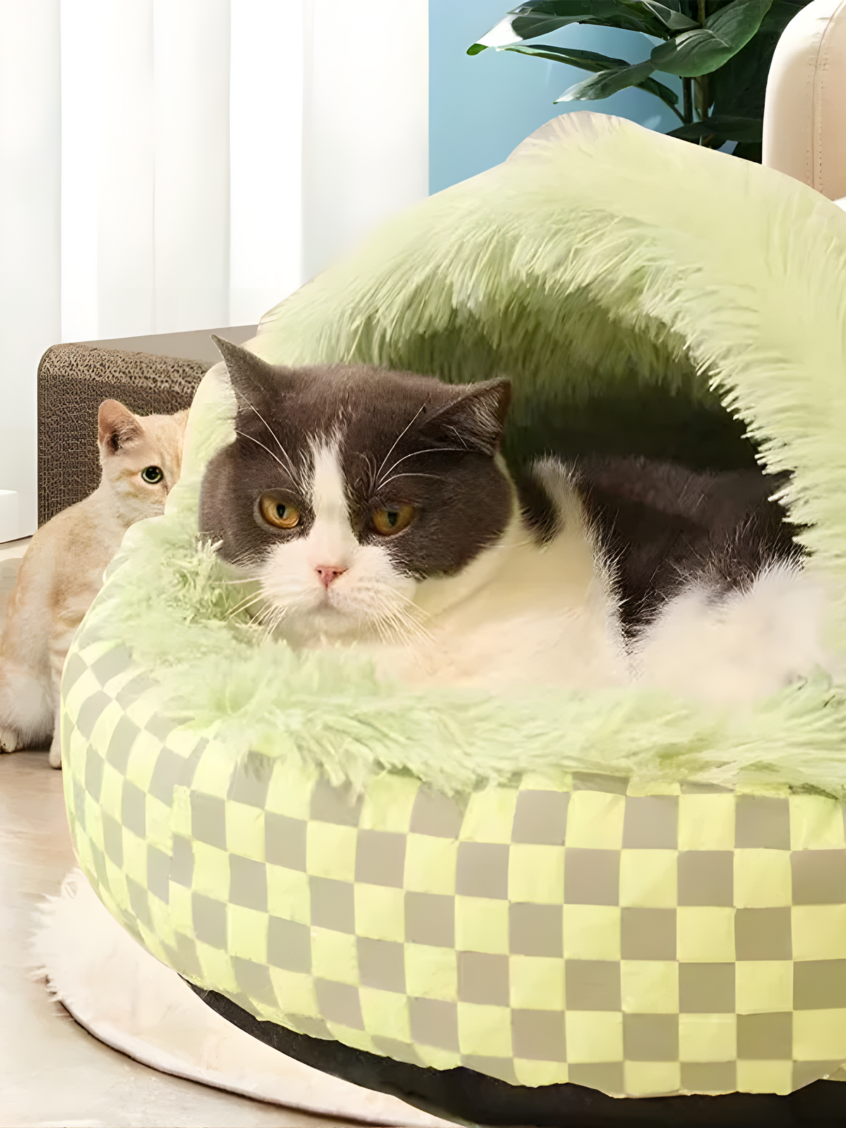 Cozy Cat Bed For Winter - Petal