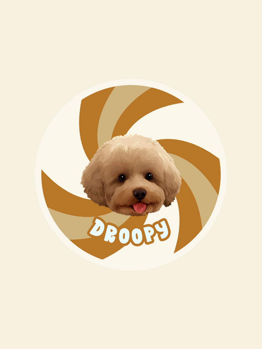 ZalloPaws Custom Pet Rug – Eddies