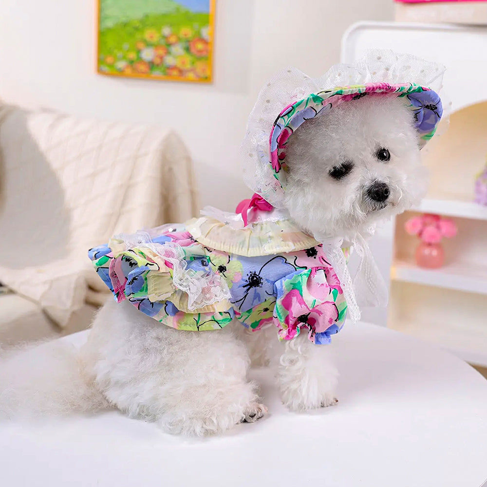Floral Lace Princess Pet Dress