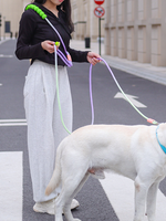 Dopamine Pet Leash