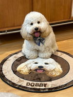 【Custom Pet Rug】Chocolate