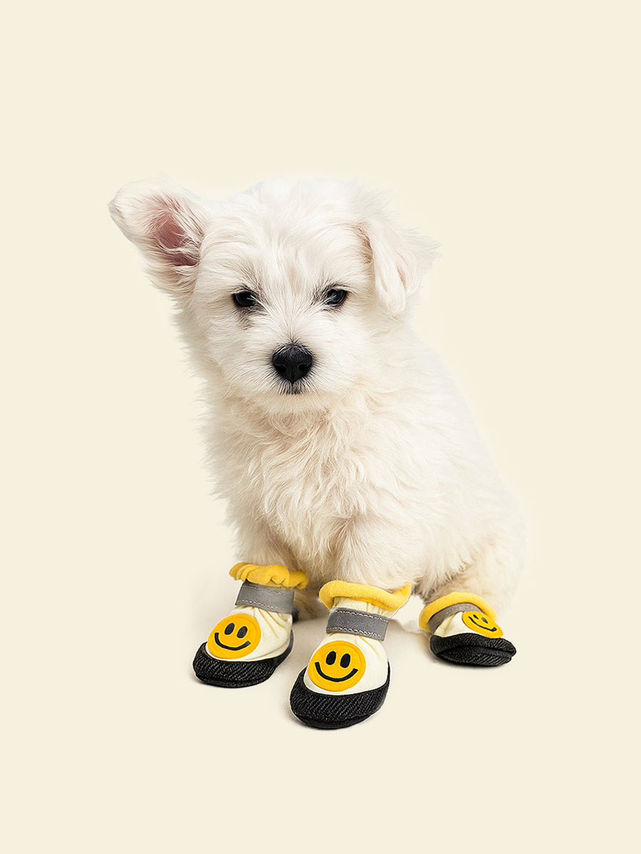 Smiley Breeze Dog Shoes