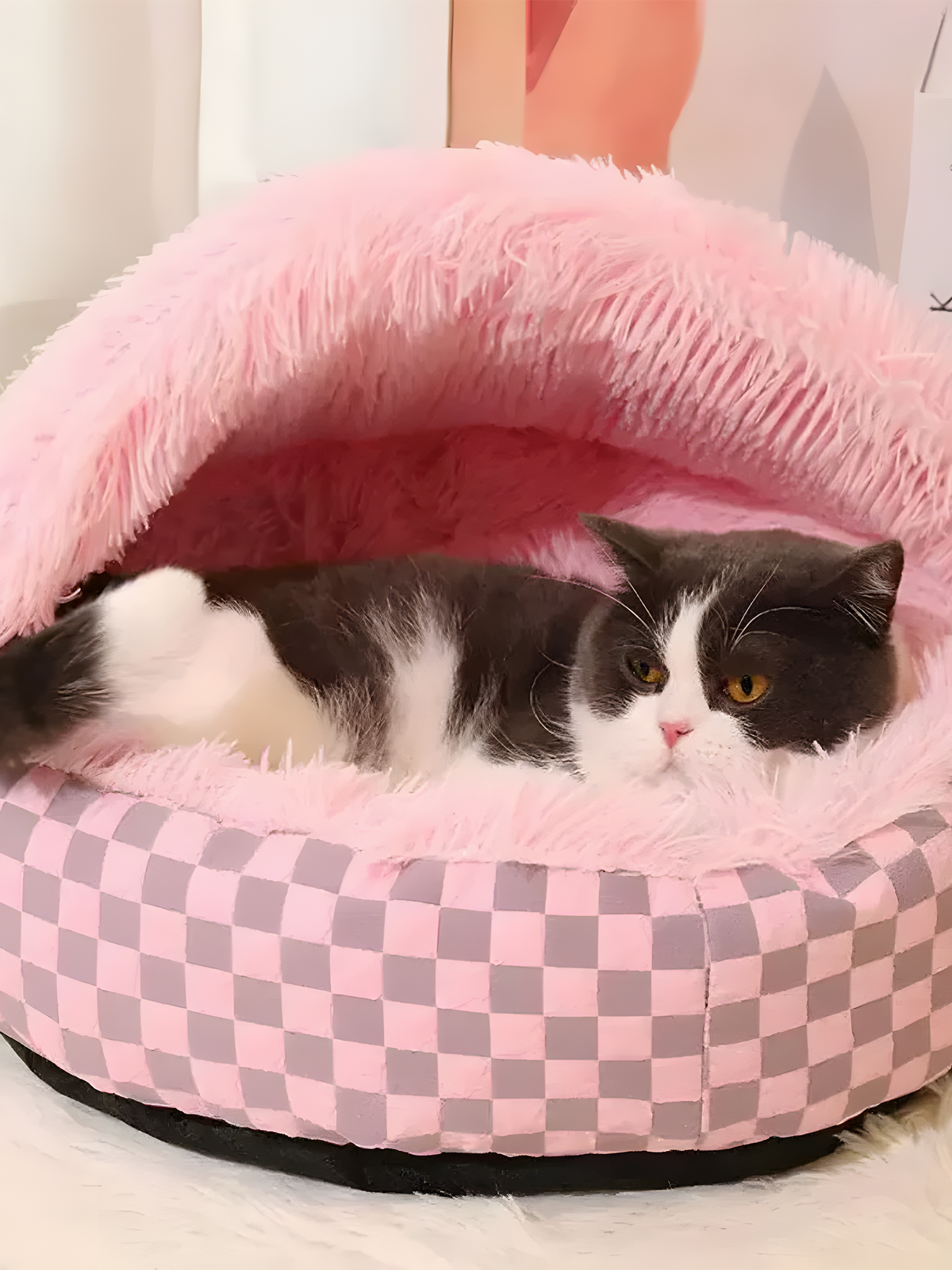 Cozy Cat Bed For Winter - Petal