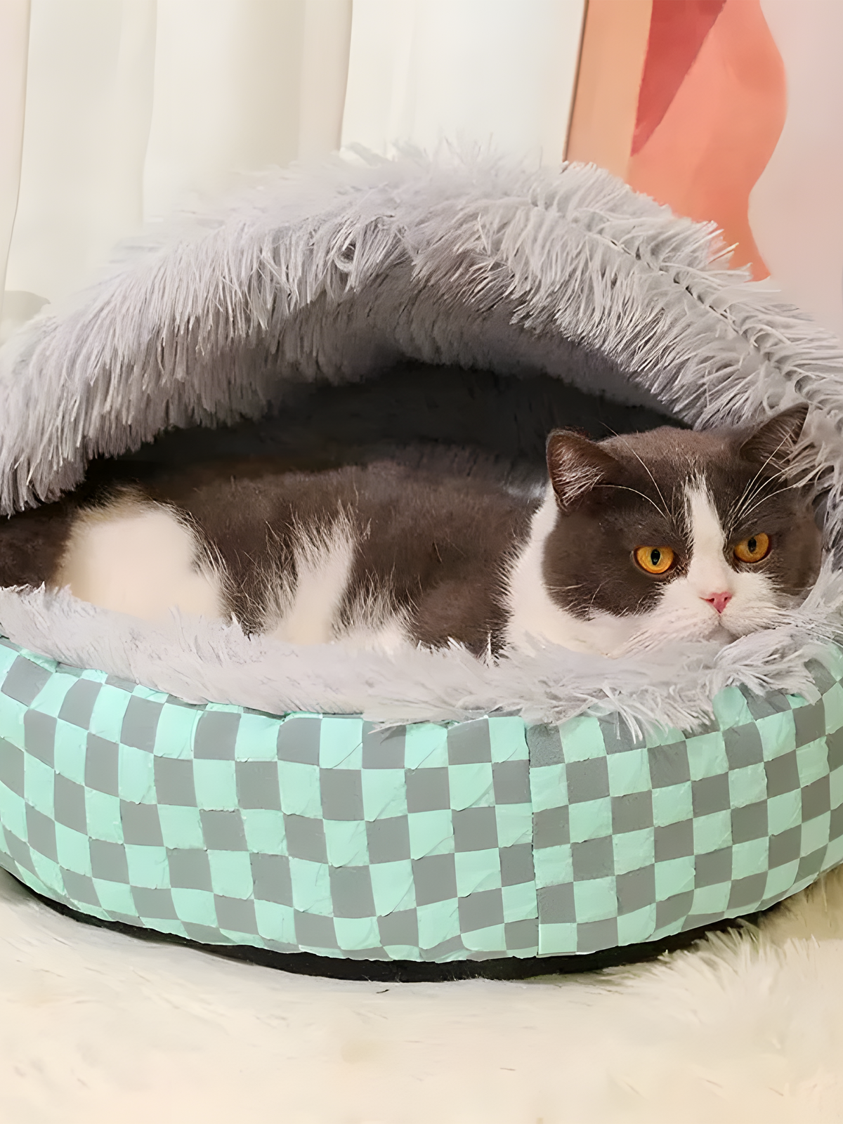 Cozy Cat Bed For Winter - Petal