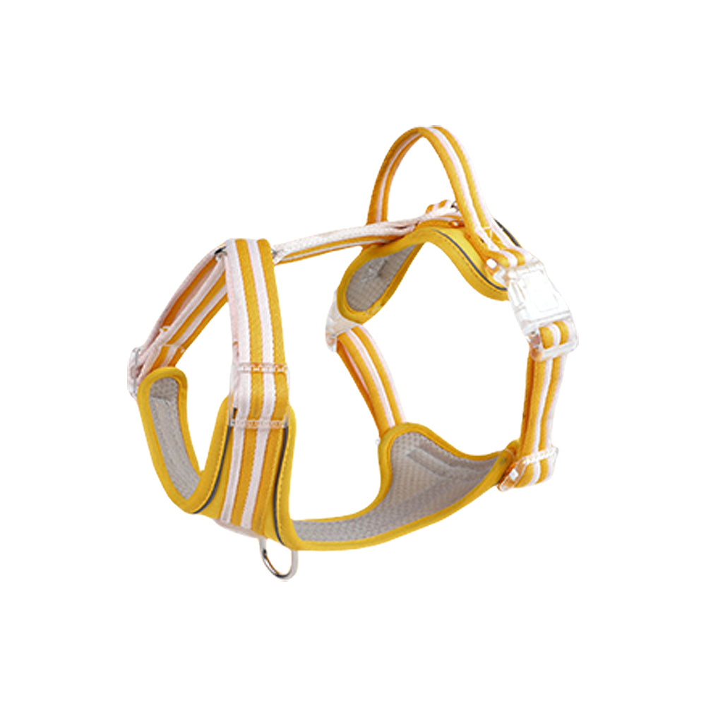 Gradient Candy Color Pet Harness